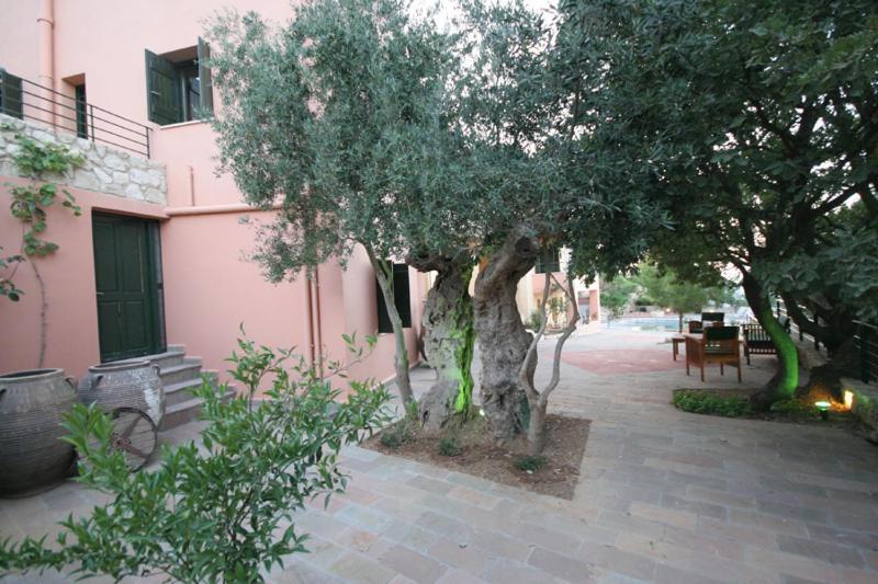 Agathes Traditional Houses Kastellos Room photo